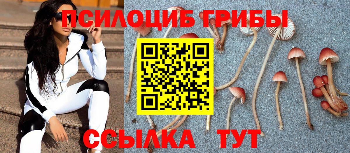 Гудермес  Галлюциногенные грибы мицелий  Вход с VPN  Псилоцибиновые грибы Magic Shrooms 