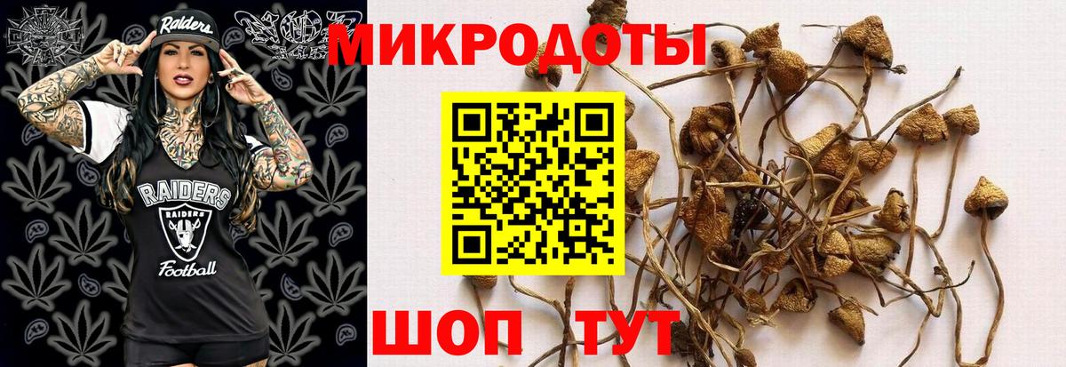 Галлюциногенные грибы прущие грибы Гудермес